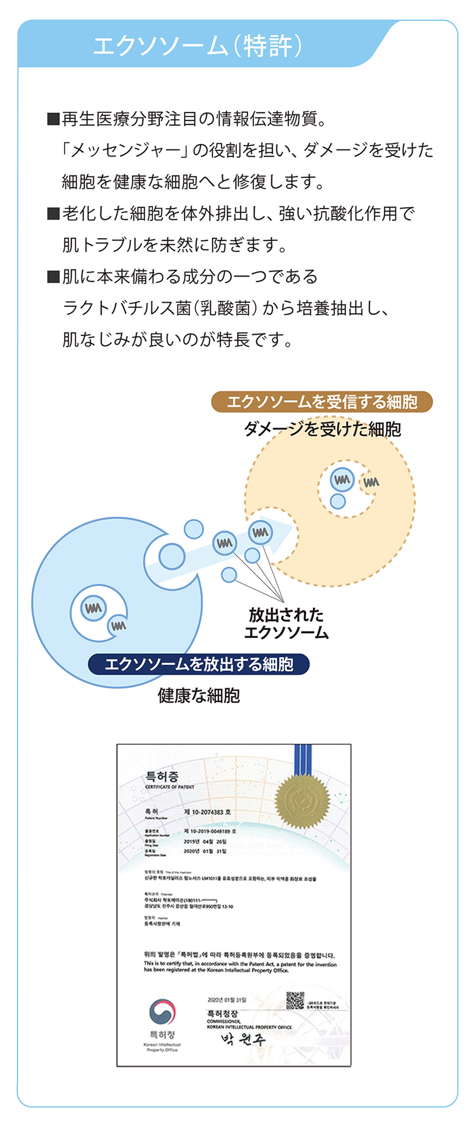 エクソソーム