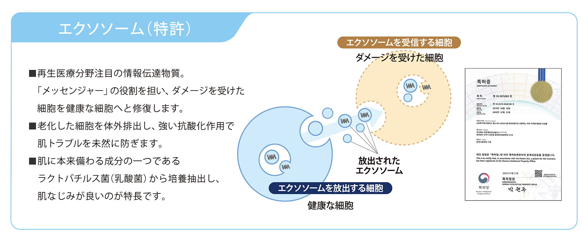 エクソソーム